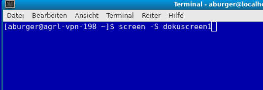 Starten einer Screen-Session. Der Name (-S) ist optional, erleichtert aber später die Unterscheidung mehrerer Sessions.